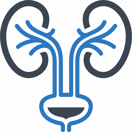 Urology Department